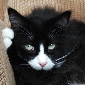 Meet your Posher, Sandra